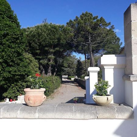 B&B Trulli E Mare Martina Franca Exterior foto
